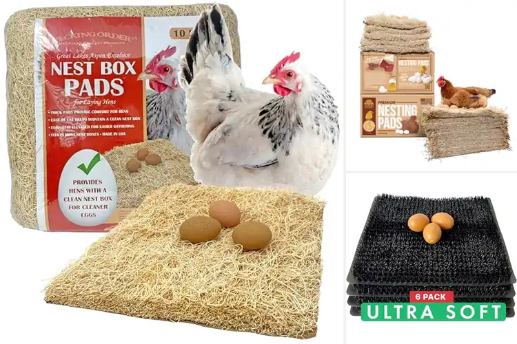 Detailed view of Best Clean Nesting Pads for Fresh Coops