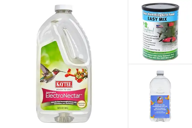 Detailed view of Best Clear Hummingbird Nectars
