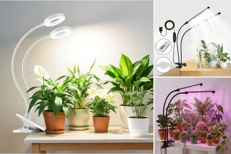 Detailed view of Best Clip On Grow Light Sets