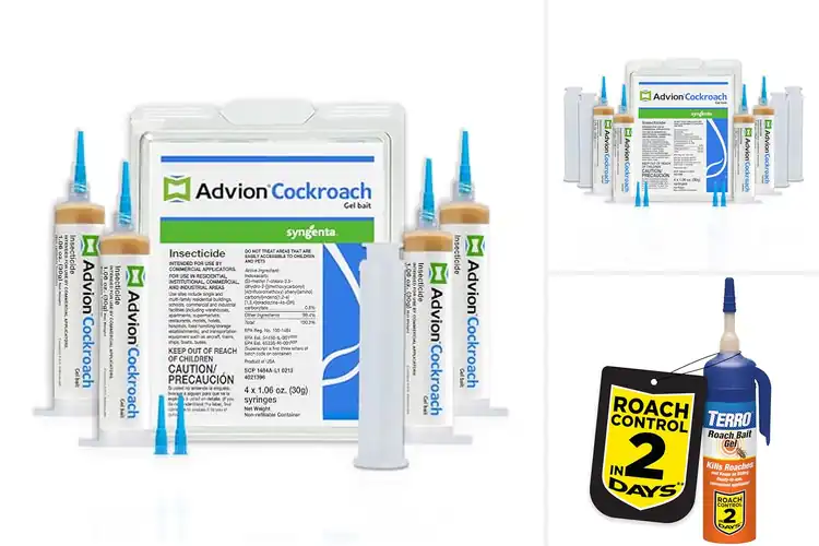 Detailed view of Best Cockroach Control Gels