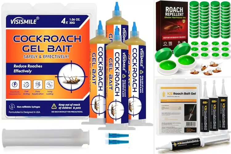Detailed view of Best Cockroach Gel Baits