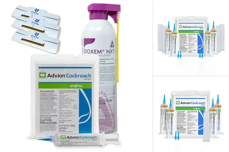 Detailed view of Best Cockroach Gel Kits