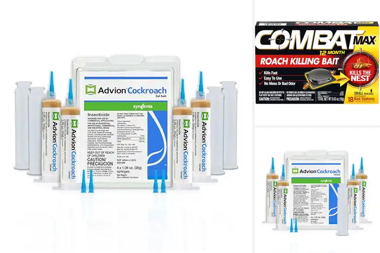 Detailed view of Best Cockroach Killers