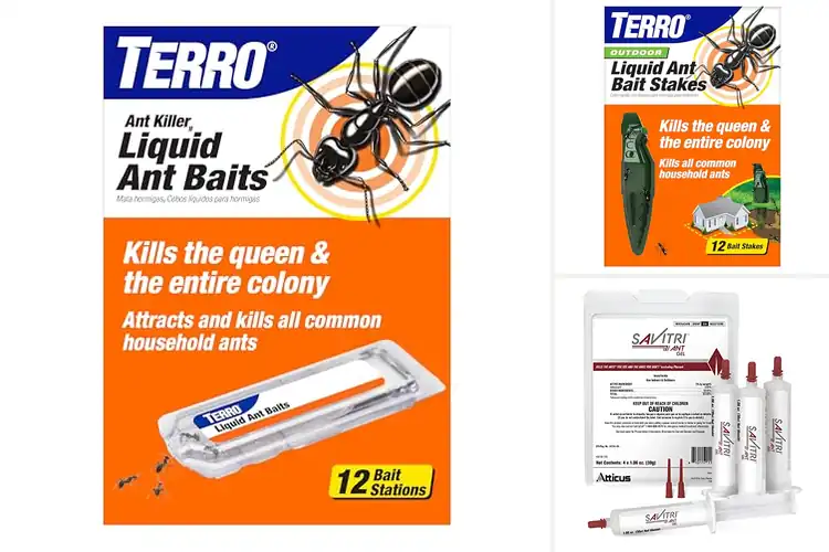 Detailed view of Best Colony Killing Ant Baits: Ultimate Home Defense