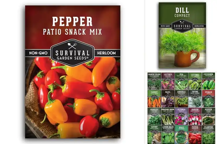 Detailed view of Best Compact Garden Seeds
