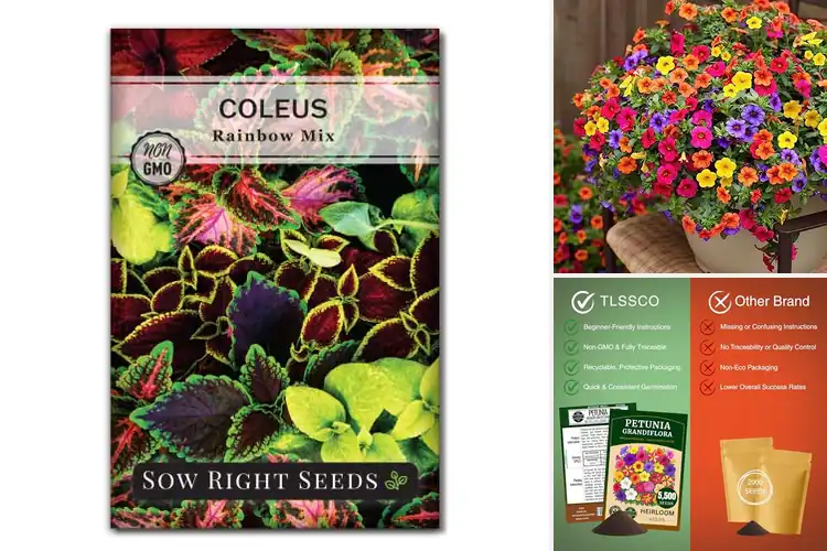 Detailed view of Best Container Flower Seeds: Brighten Your Space with Ease
