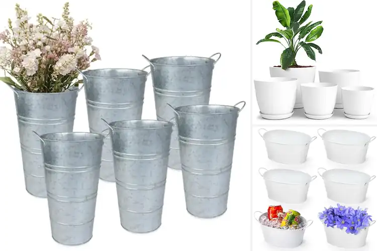 Detailed view of Best Container Flowers