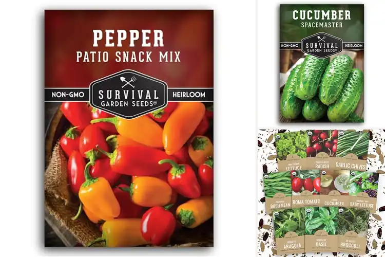 Detailed view of Best Container Garden Seeds