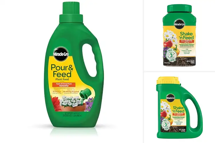 Detailed view of Best Container Plant Fertilizers: Boost Blooms & Growth