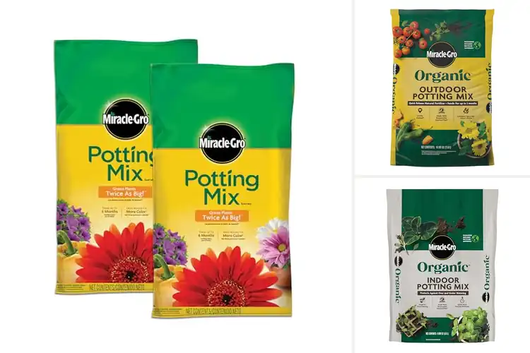 Detailed view of Best Container Plant Soils