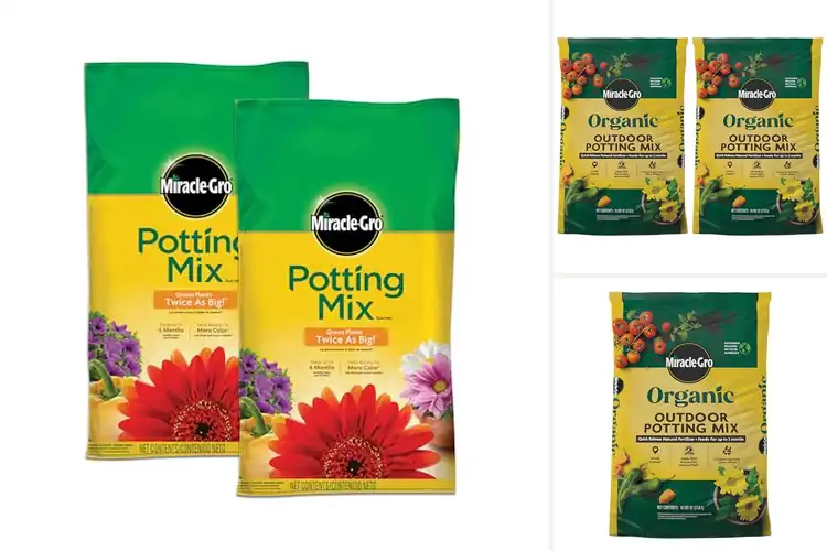 Detailed view of Best Container Soils: Your Guide to Healthy, Thriving Plants