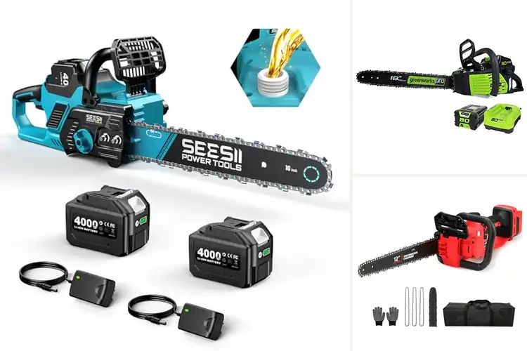 Detailed view of Best Cordless Chainsaws