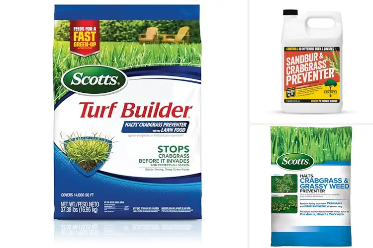 Detailed view of Best Crabgrass Preventers