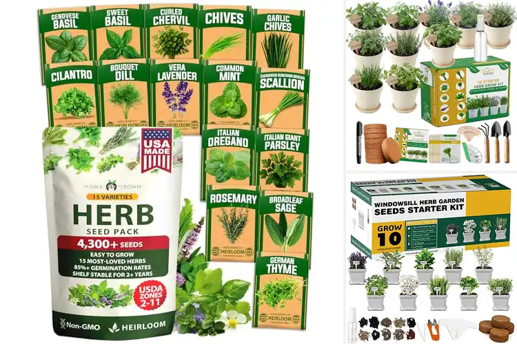 Detailed view of Best Culinary Herb Kits: Fresh Flavors, Stress-Free Planting