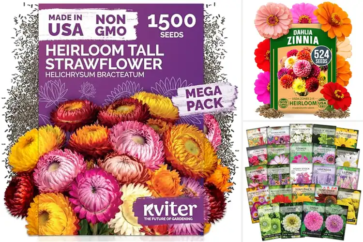 Detailed view of Best Cut Flower Seeds for Vibrant, Easy-to-Grow Blooms