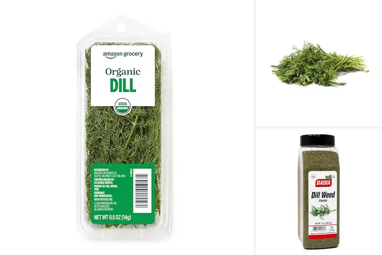 Detailed view of Best Dills: Top Picks to Boost Flavor in Every Dish