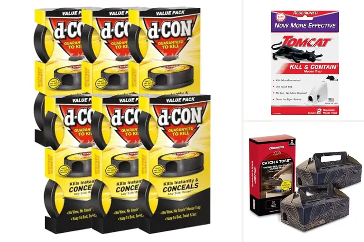 Detailed view of Best Disposable Mouse Traps