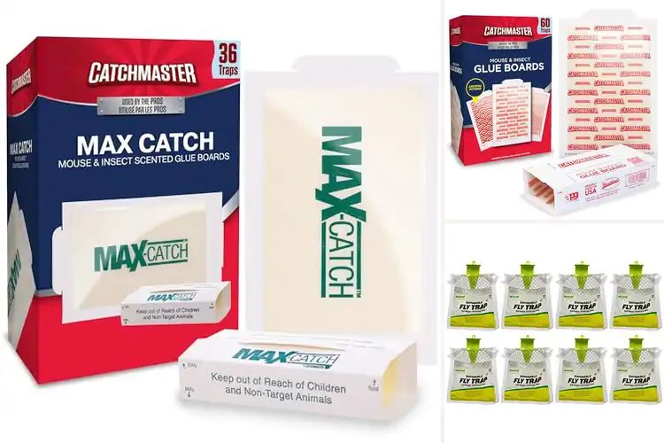 Detailed view of Best Disposable Pest Traps