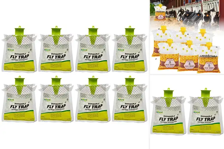 Detailed view of Best Disposable Traps For Pests