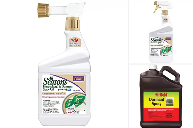 Detailed view of Best Dormant Plant Sprays