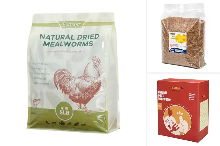 Detailed view of Best Dried Mealworms for Chickens