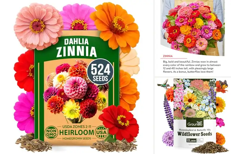 Detailed view of Best Easy-to-Grow Flowers