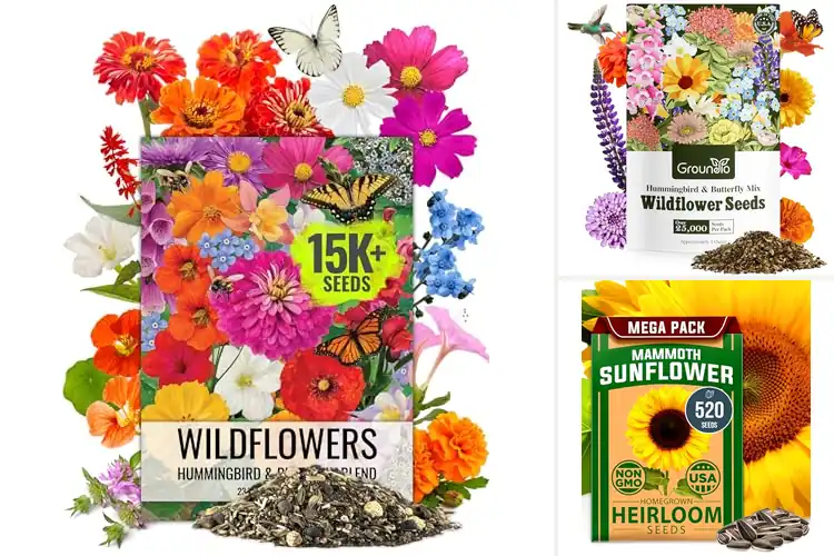 Detailed view of Best Easy-to-Grow Seeds: Bloom Beautifully