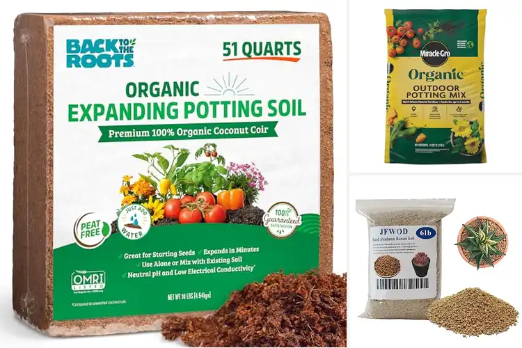 Detailed view of Best Eco-Friendly Soils: 10 Picks for a Greener Garden