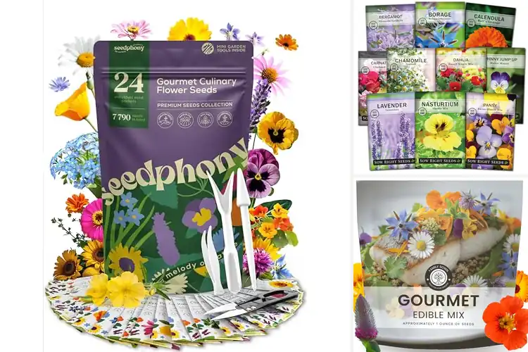 Detailed view of Best Edible Flower Seeds to Grow for Flavor & Beauty