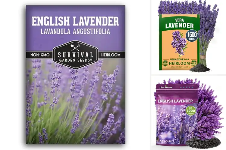Detailed view of Best Edible Lavender Seeds: 10 Top Picks for Flavor & Beauty