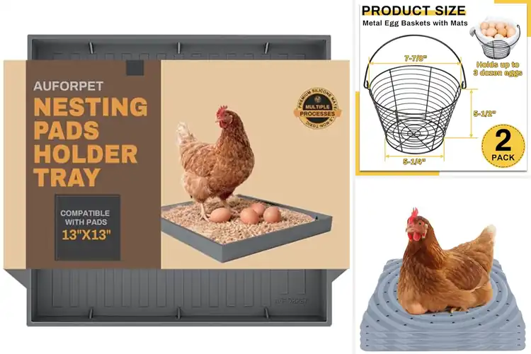 Detailed view of Best Egg Collecting Pads