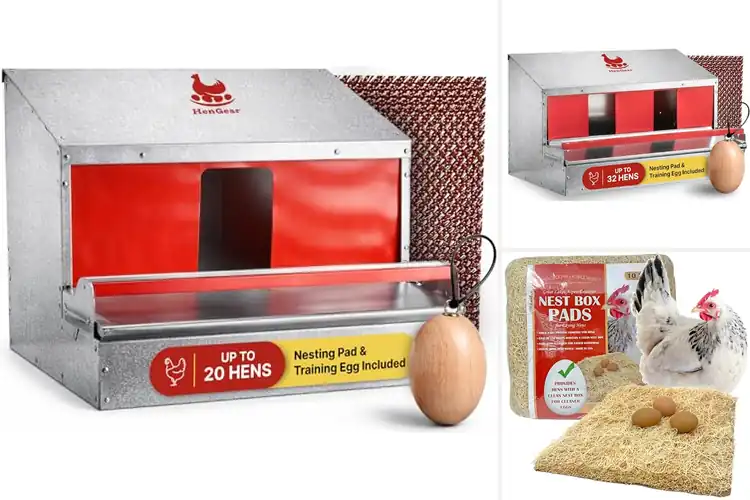 Detailed view of Best Egg Collection Nesting Pads for Clean, Easy Harvests