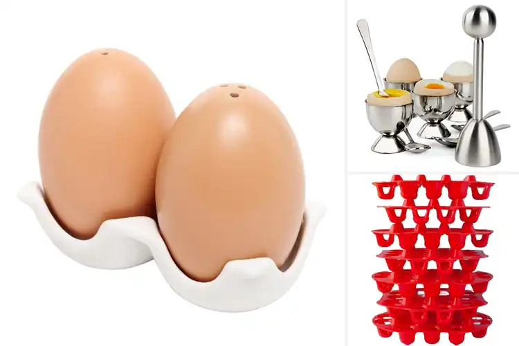 Detailed view of Best Egg Collection Sets: Top 10 Picks for Fun & Easy Use