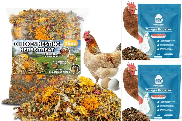 Detailed view of Best Egg Laying Support Snack