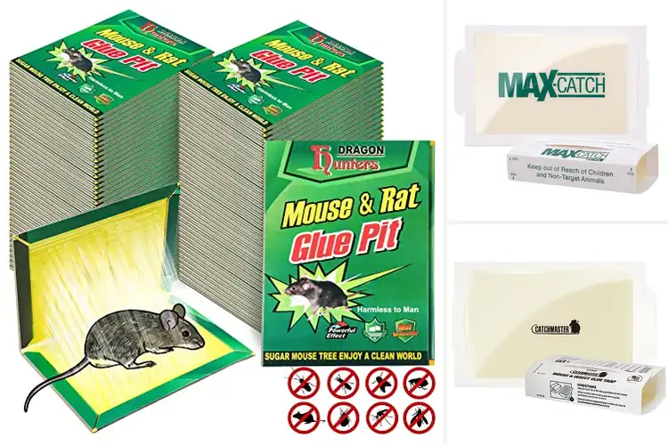Detailed view of Best Enhanced Stickiness For Mice And Pests