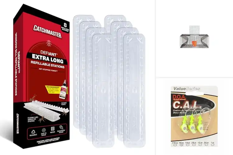 Detailed view of Best Entry Point Baits: 4 Simple Options for a Smooth Start