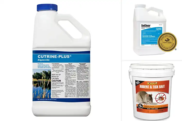 Detailed view of Best EPA Approved Formulas
