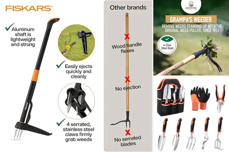 Detailed view of Best Ergonomic Garden Tools