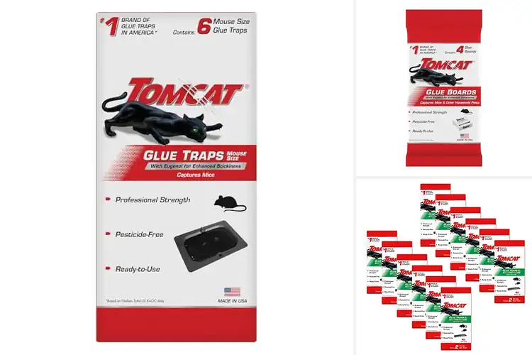 Detailed view of Best Eugenol Mouse Traps: Top 4 Picks for a Pest-Free Home