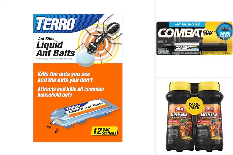 Detailed view of Best Fast Acting Ant Killer Inside