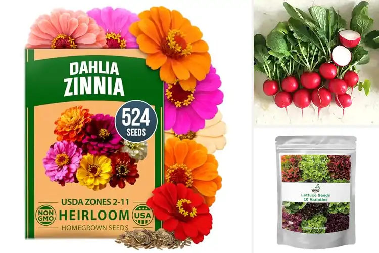 Detailed view of Best Fast Germination Seeds