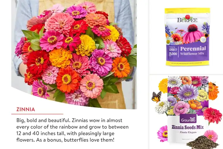 Detailed view of Best Fast Growing Flowers to Brighten Your Garden Quickly