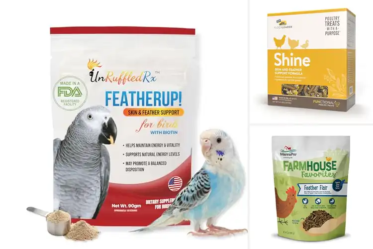 Detailed view of Best Feather Growth Treats