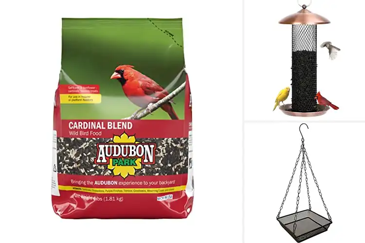 Detailed view of Best Feeder Compatible Bird Seed