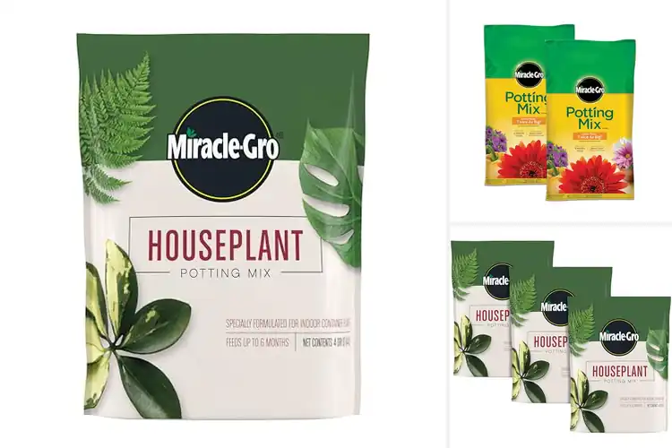 Detailed view of Best Fertilized Soils For Container Plants