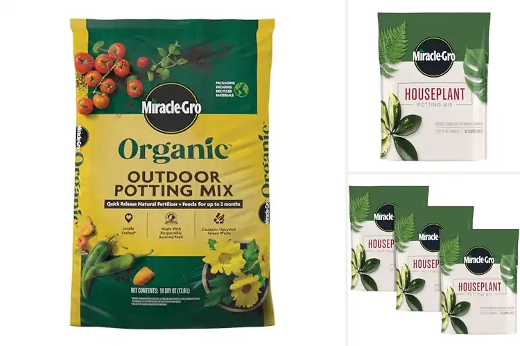 Detailed view of Best Fertilized Soils: Top Picks for Lush Gardens