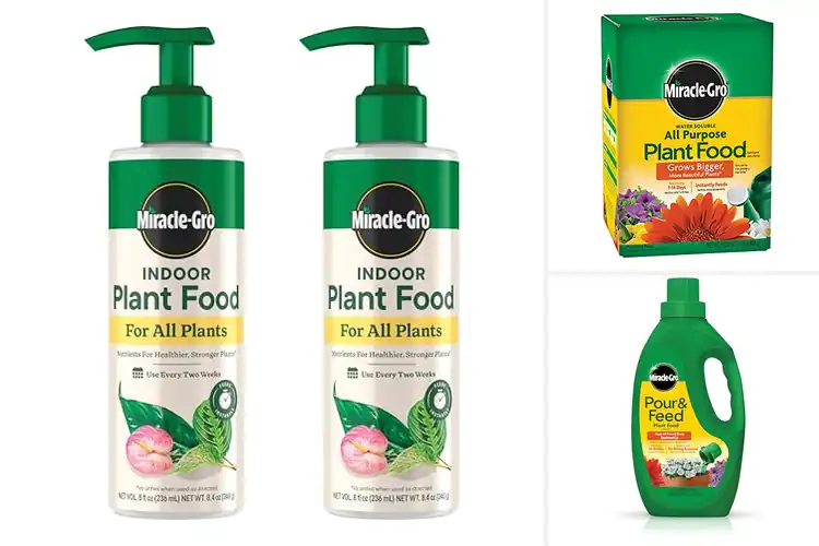 Detailed view of Best Fertilizer For All Plant Types