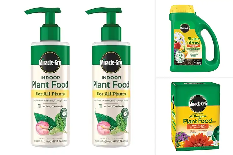 Detailed view of Best Fertilizers For All Plants