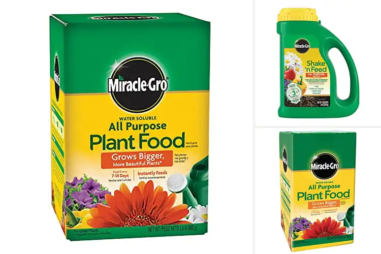 Detailed view of Best Fertilizers For Flowers