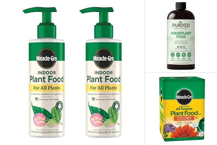 Detailed view of Best Fertilizers For Houseplants
